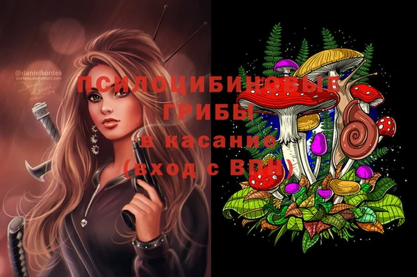 амфетамин Алексеевка