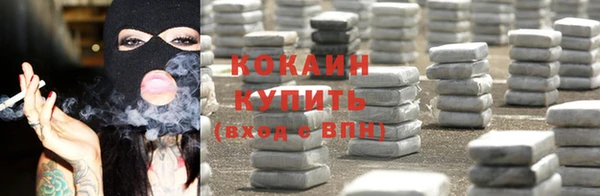 ECSTASY Алзамай