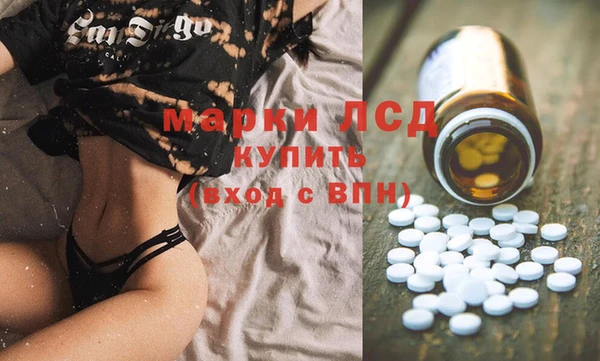ECSTASY Алзамай