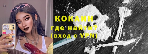 индика Алексин