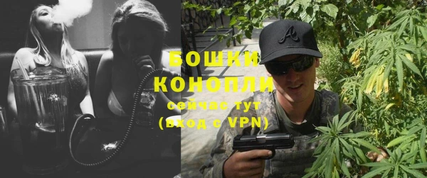 дживик Осинники