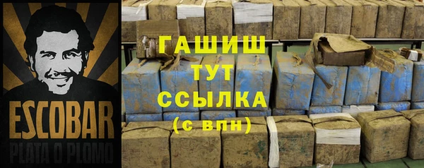 ECSTASY Алзамай