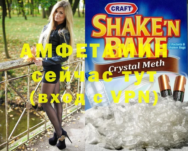 ECSTASY Алзамай