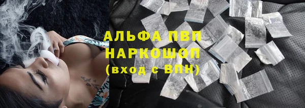 ECSTASY Алзамай