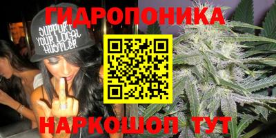 скорость mdpv Обь