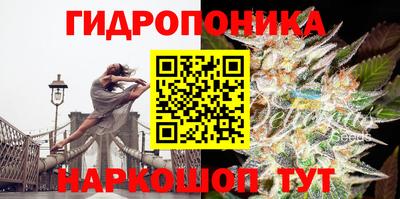 трава Обнинск