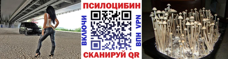 Псилоцибиновые грибы MAGIC MUSHROOMS  мориарти состав  Осинники 