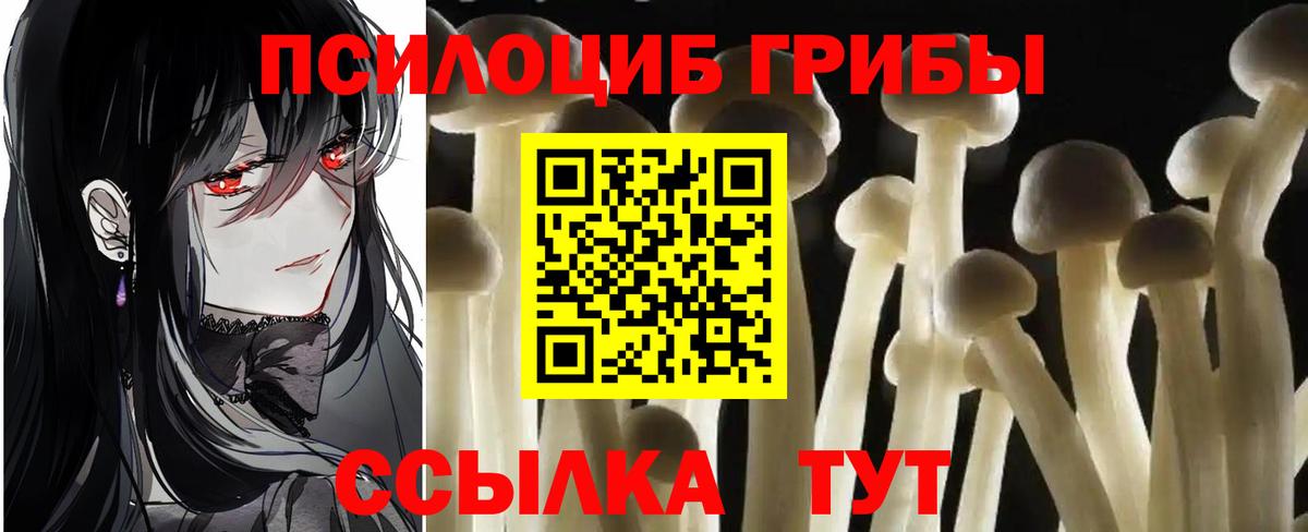 Псилоцибиновые грибы Magic Shrooms  Вход с VPN  Галлюциногенные грибы Magic Shrooms  Осинники 